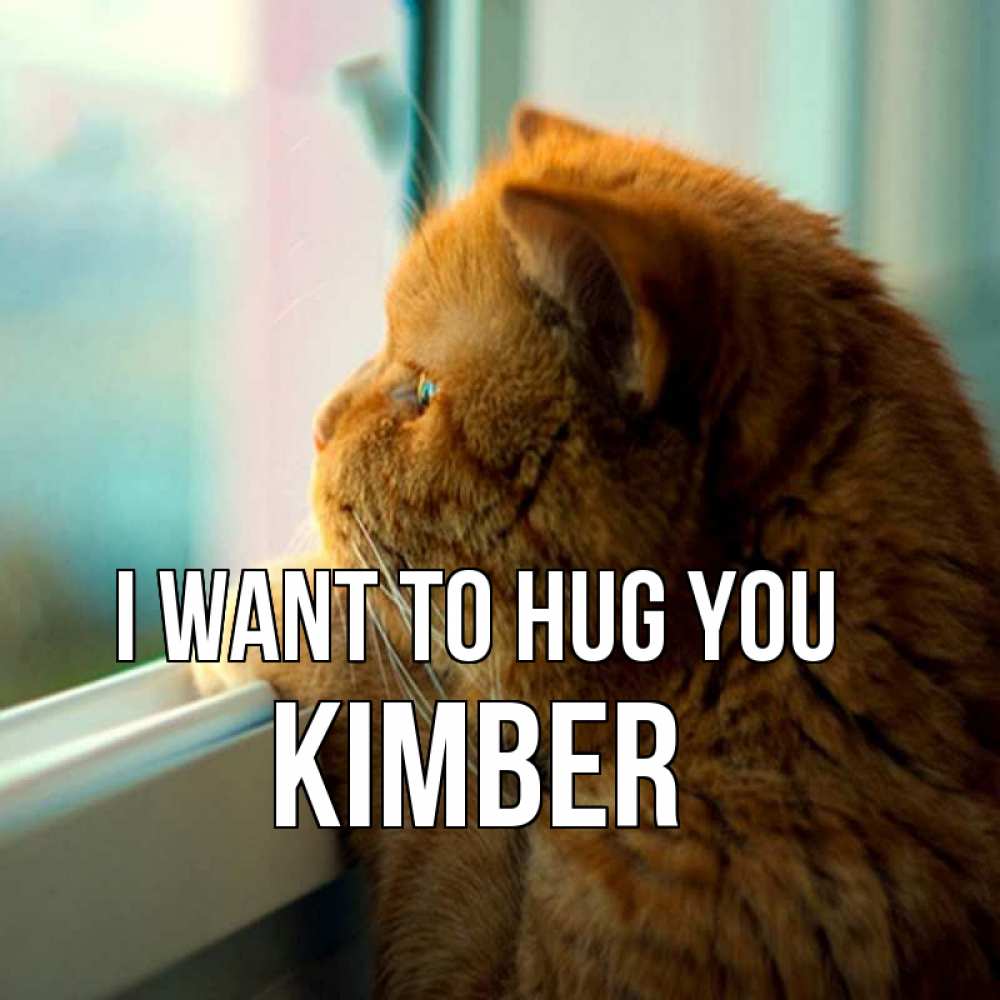 Greetings card с именем, Kimber I want to hug you большой огромный рыжий котяра Greetings with text for free download 