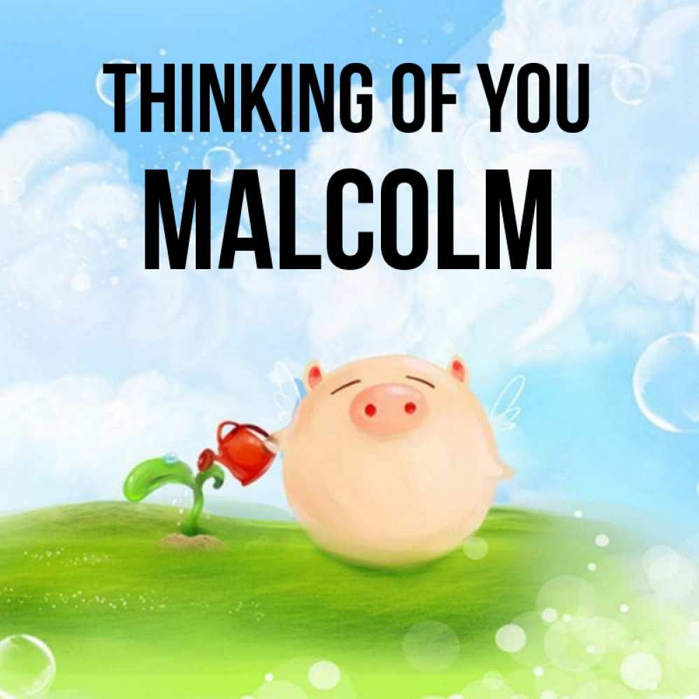 Greetings card с именем, Malcolm Thinking of you позитивная свинюшка Greetings with text for free download 