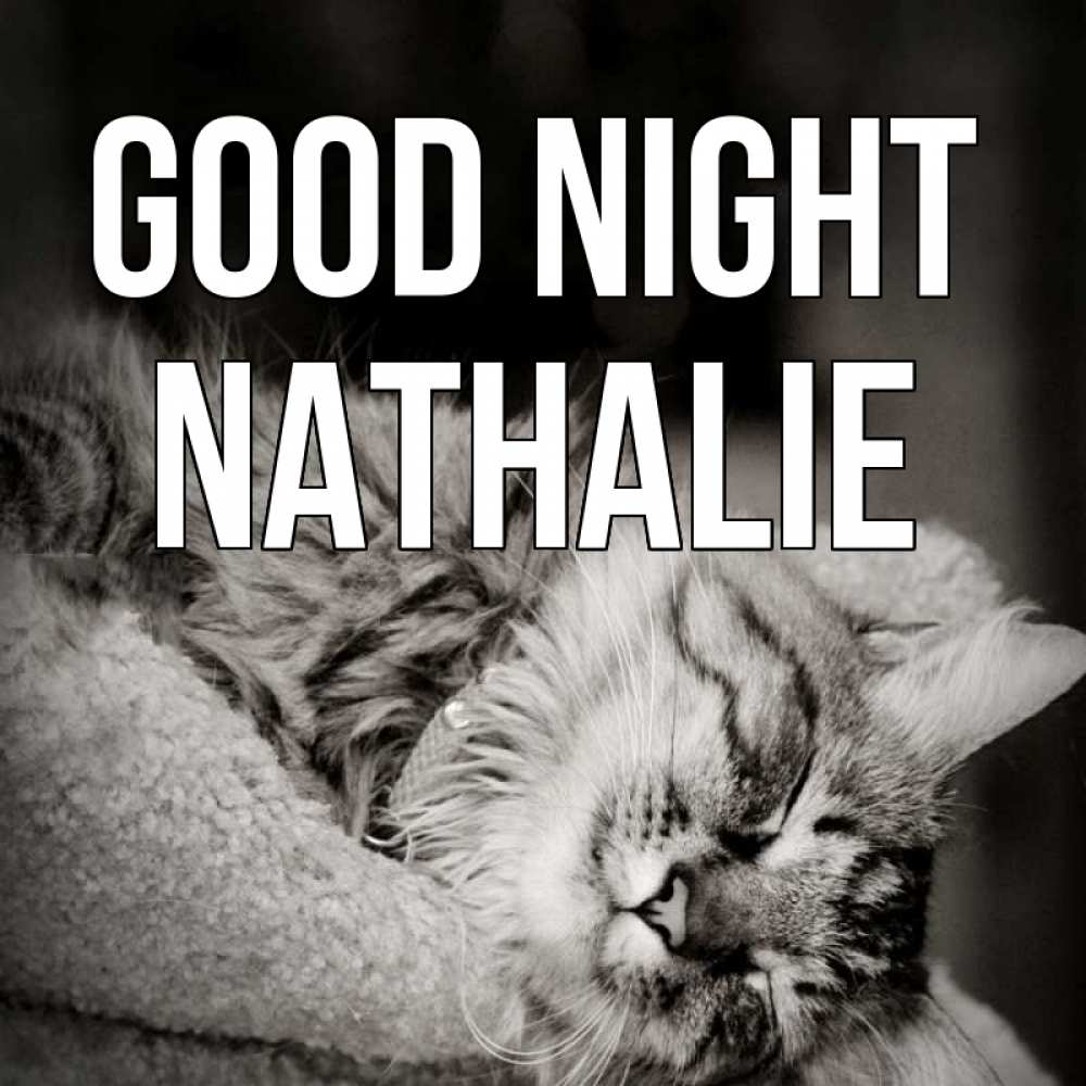 Greetings card с именем, Nathalie Good night котярик пушистый Greetings with text for free download 