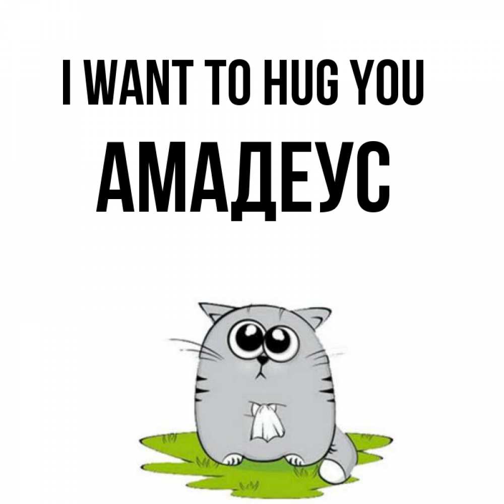 Greetings card с именем, Амадеус I want to hug you котик теребит платочек сидя на травке Greetings with text for free download 
