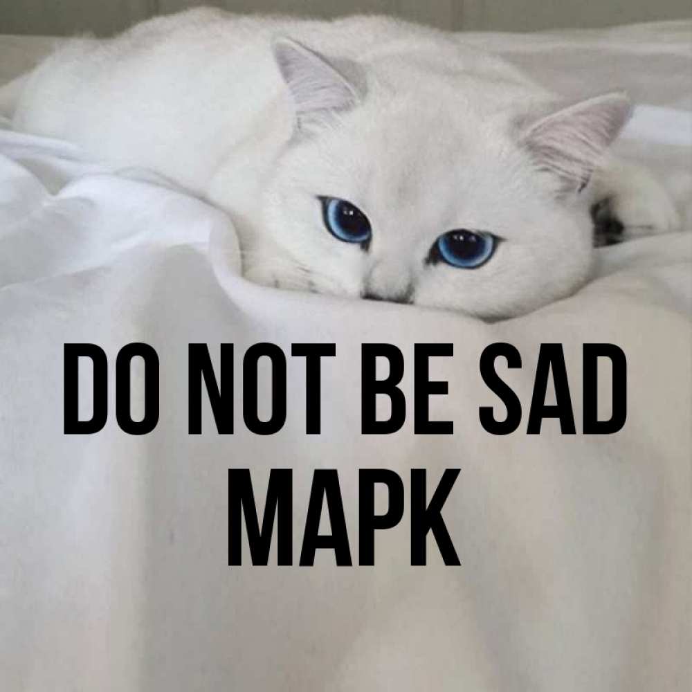Greetings card с именем, Марк Do not be sad Голубоглазая кошка Greetings with text for free download 