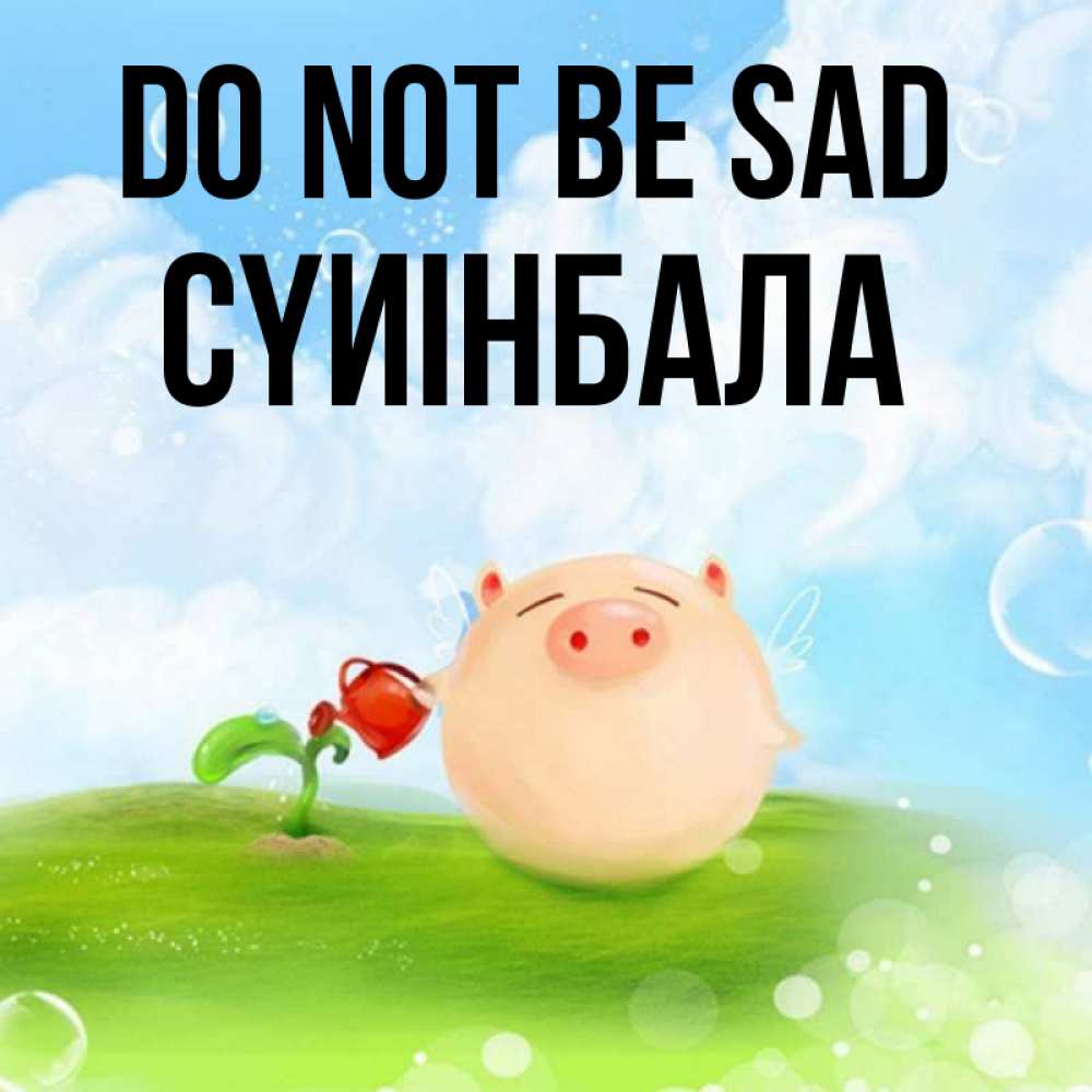 Greetings card с именем, СҮИІНБАЛА Do not be sad поливает цветок порося Greetings with text for free download 