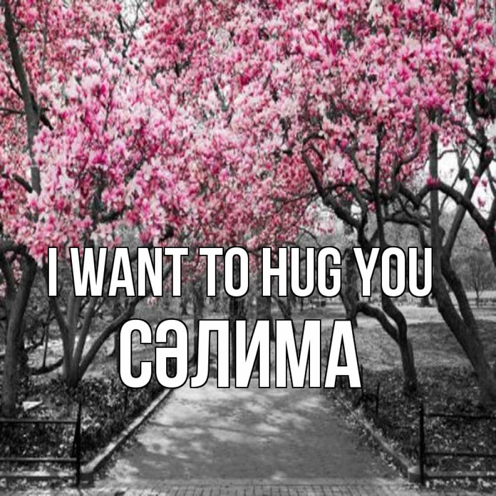 Greetings card с именем, СӘЛИМА I want to hug you обработанное фото Greetings with text for free download 