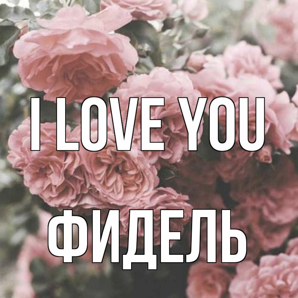 Greetings card с именем, Фидель I love you розы 3 Greetings with text for free download 