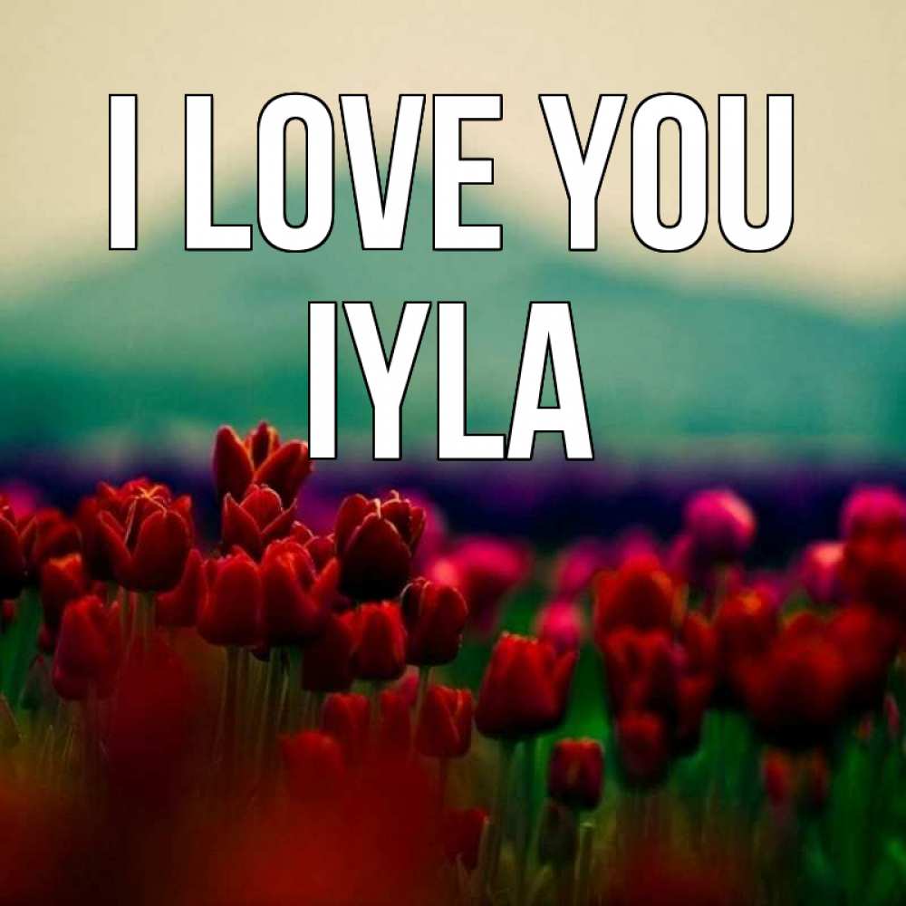 Greetings card с именем, Iyla I love you тюльпаны 4 Greetings with text for free download 