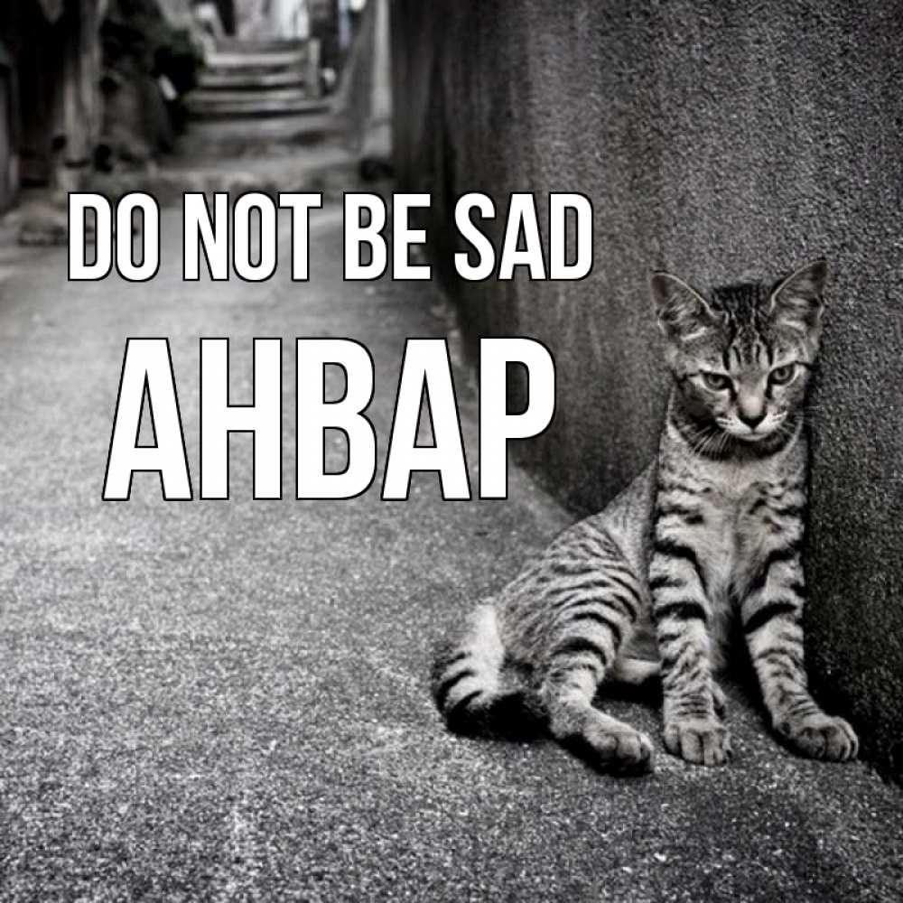 Greetings card с именем, Анвар Do not be sad скучающий котик Greetings with text for free download 