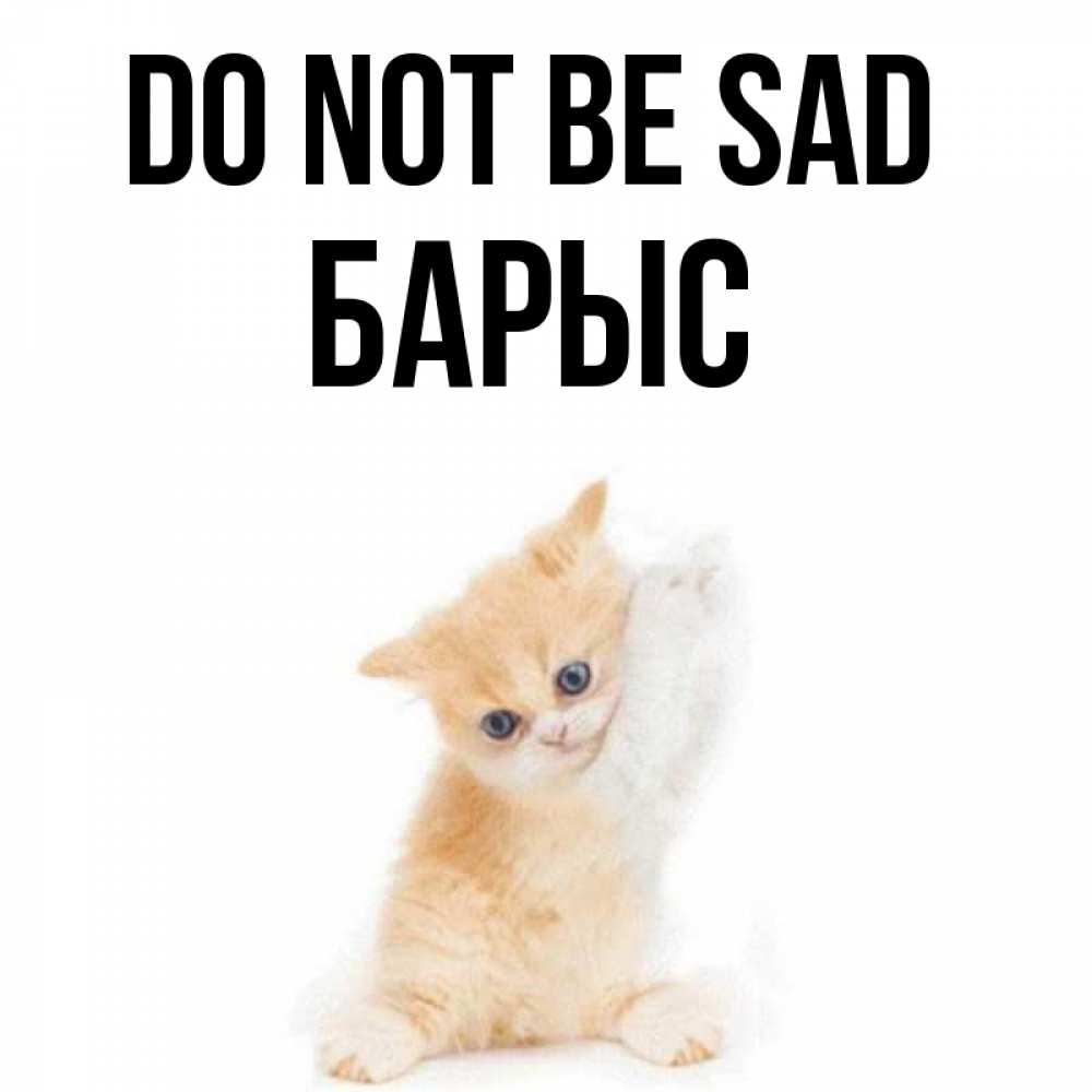 Greetings card с именем, Барыс Do not be sad просящий кот Greetings with text for free download 