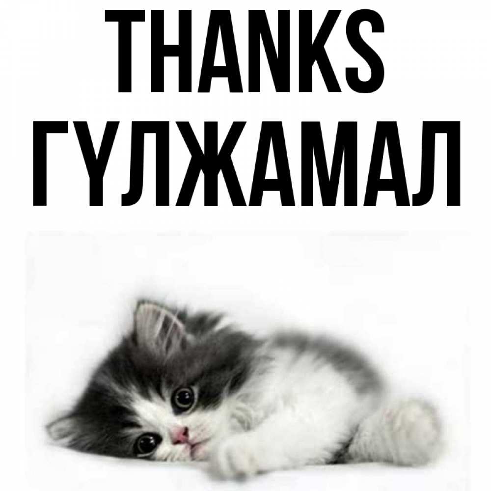 Greetings card с именем, ГҮЛЖАМАЛ Thanks черный и белый кот Greetings with text for free download 