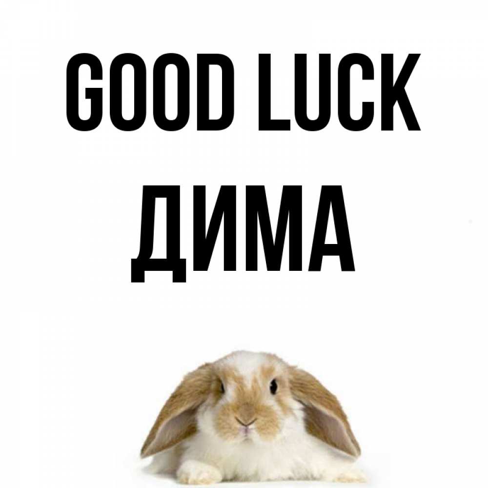 Greetings card с именем, Дима Good luck открытки с произвольным текстом который можно вставить в открытку и создать ее самостоятельно бесплатно онлайн Greetings with text for free download 