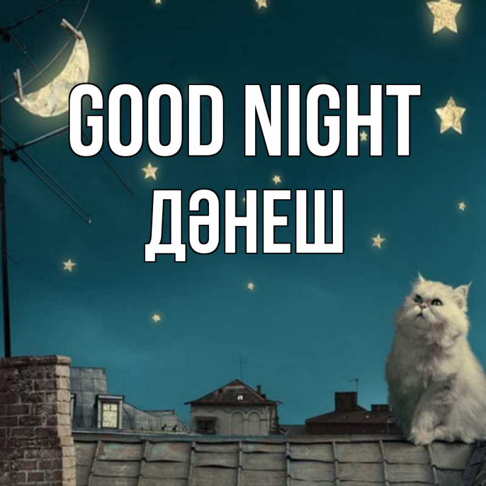 Greetings card с именем, ДӘНЕШ Good night белый кот сидит на крыше Greetings with text for free download 