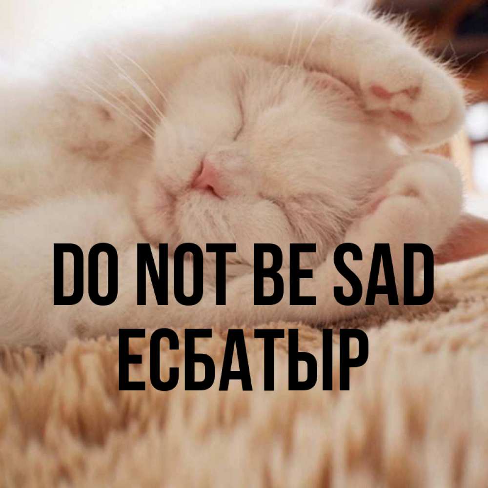 Greetings card с именем, Есбатыр Do not be sad Котенок спит Greetings with text for free download 