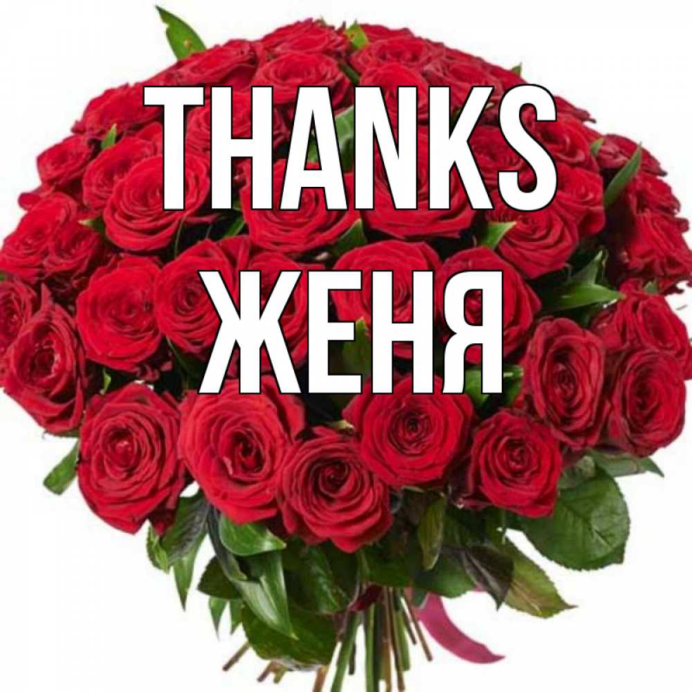 Greetings card с именем, Женя Thanks букет красных роз Greetings with text for free download 