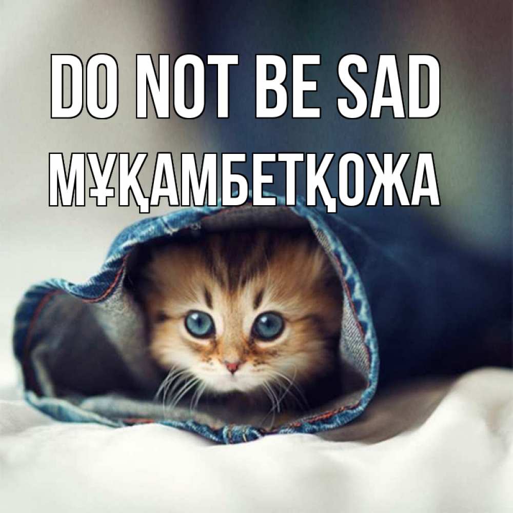 Greetings card с именем, Мұқамбетқожа Do not be sad рыжик котик Greetings with text for free download 