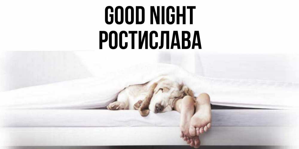 Greetings card с именем, Ростислава Good night кровать с собакой пожелание сладких снов и спокойной ночи Greetings with text for free download 
