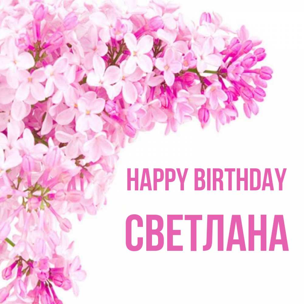 Greetings card с именем, Светлана Happy Birthday Сирень на белом фоне Greetings with text for free download 