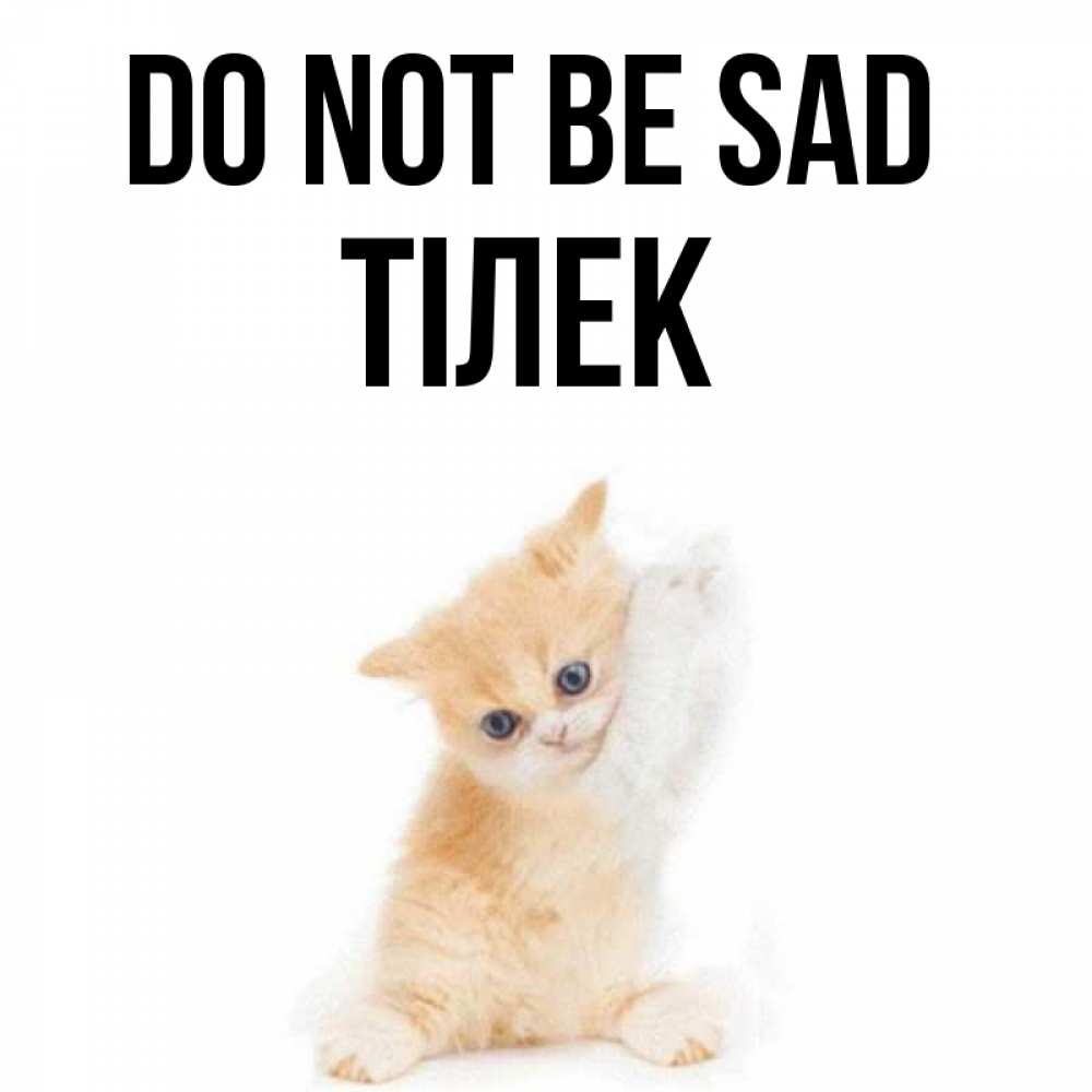 Greetings card с именем, ТІЛЕК Do not be sad просящий кот Greetings with text for free download 