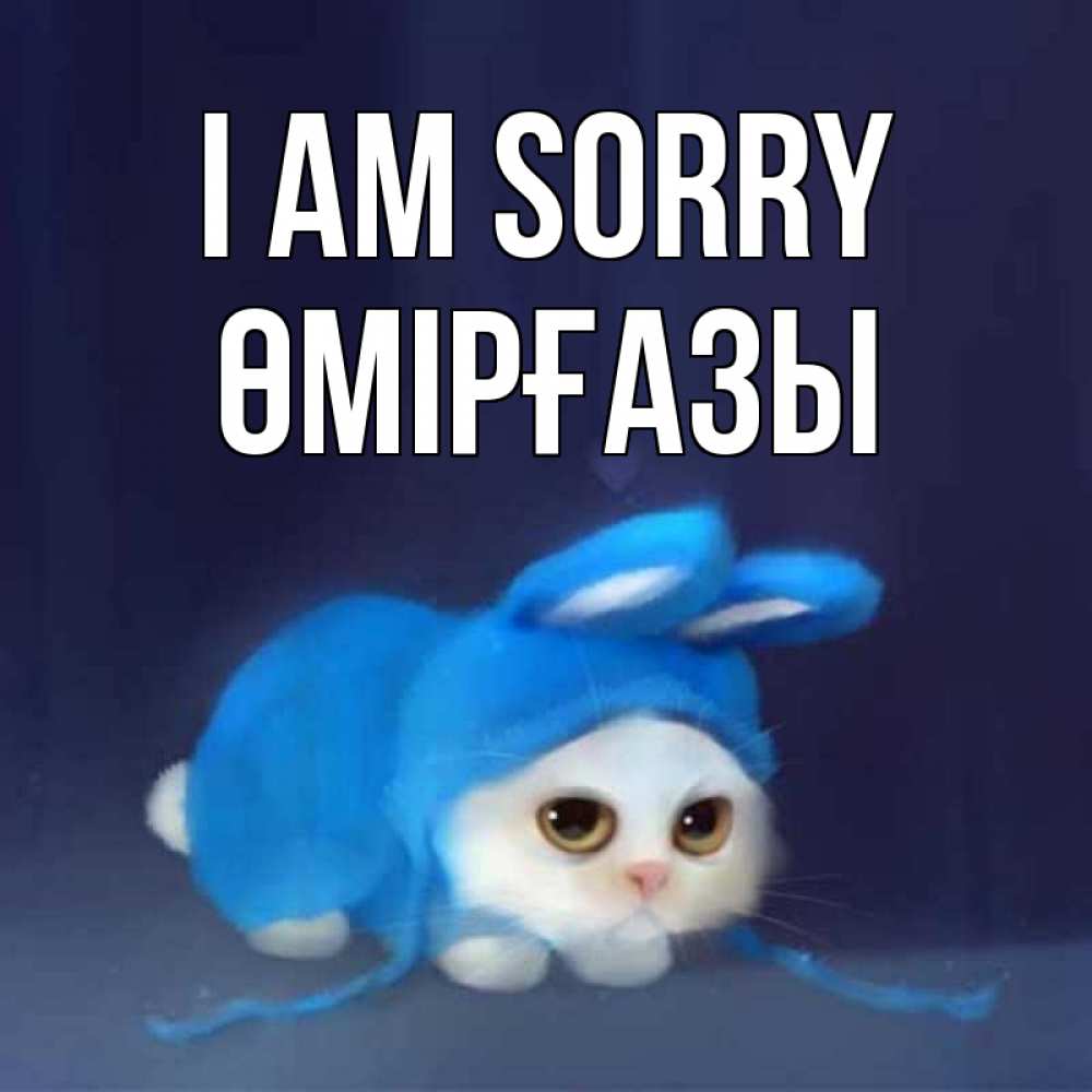 Greetings card с именем, ӨМІРҒАЗЫ I am sorry невинный котозай просит прощения Greetings with text for free download 