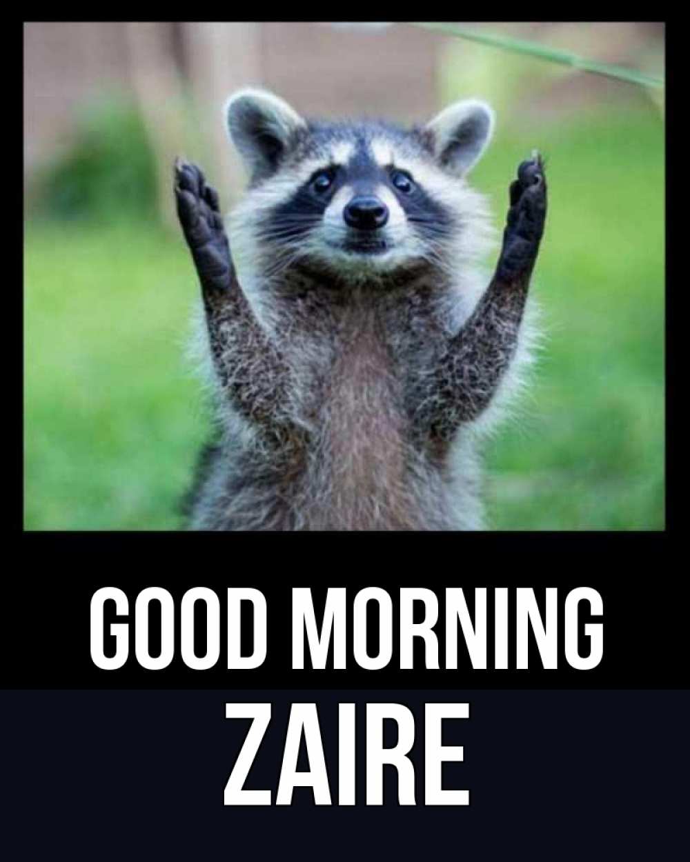 Greetings card с именем, Zaire Good morning хорошее настроение утречком Greetings with text for free download 