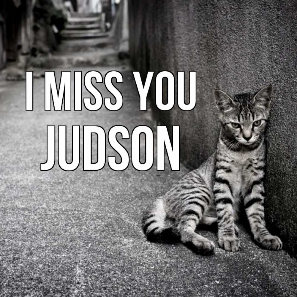 Greetings card с именем, Judson I miss you одиноко котику Greetings with text for free download 