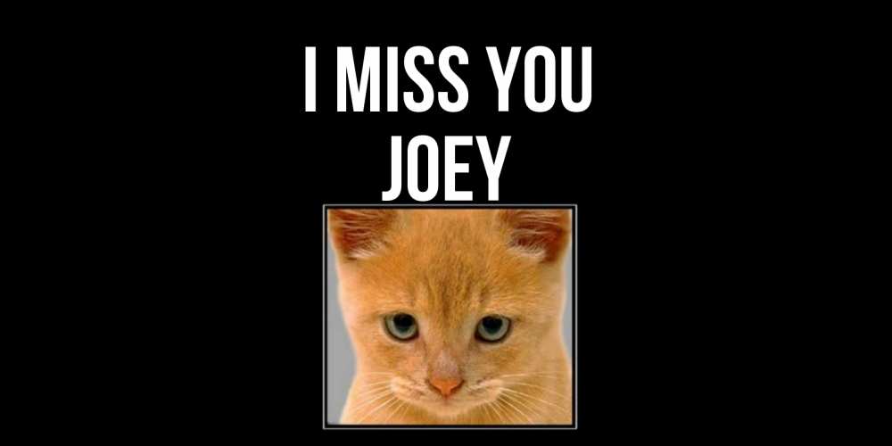 Greetings card с именем, Joey I miss you открытки рыжий котенок скучает по тебе Greetings with text for free download 
