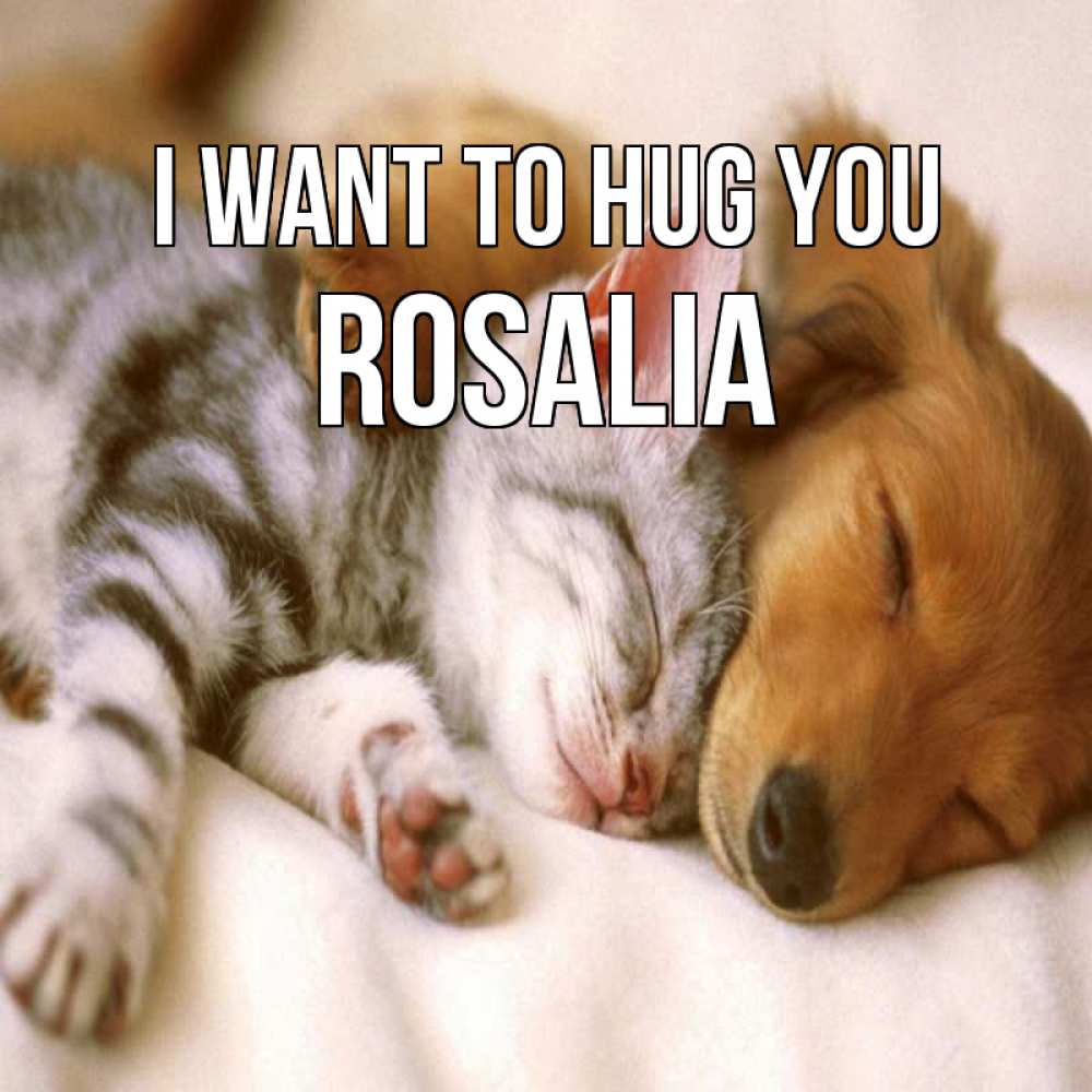 Greetings card с именем, Rosalia I want to hug you пес и котенок Greetings with text for free download 