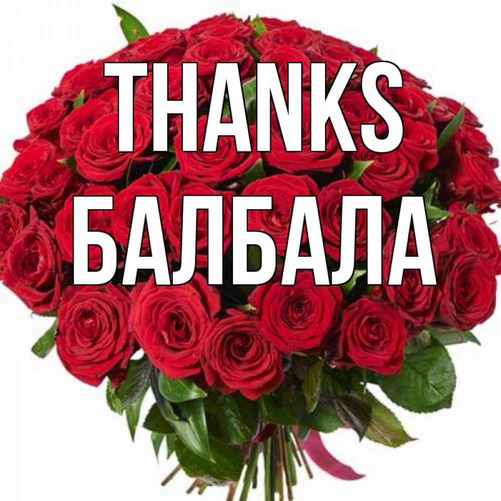 Greetings card с именем, БАЛБАЛА Thanks букет красных роз Greetings with text for free download 