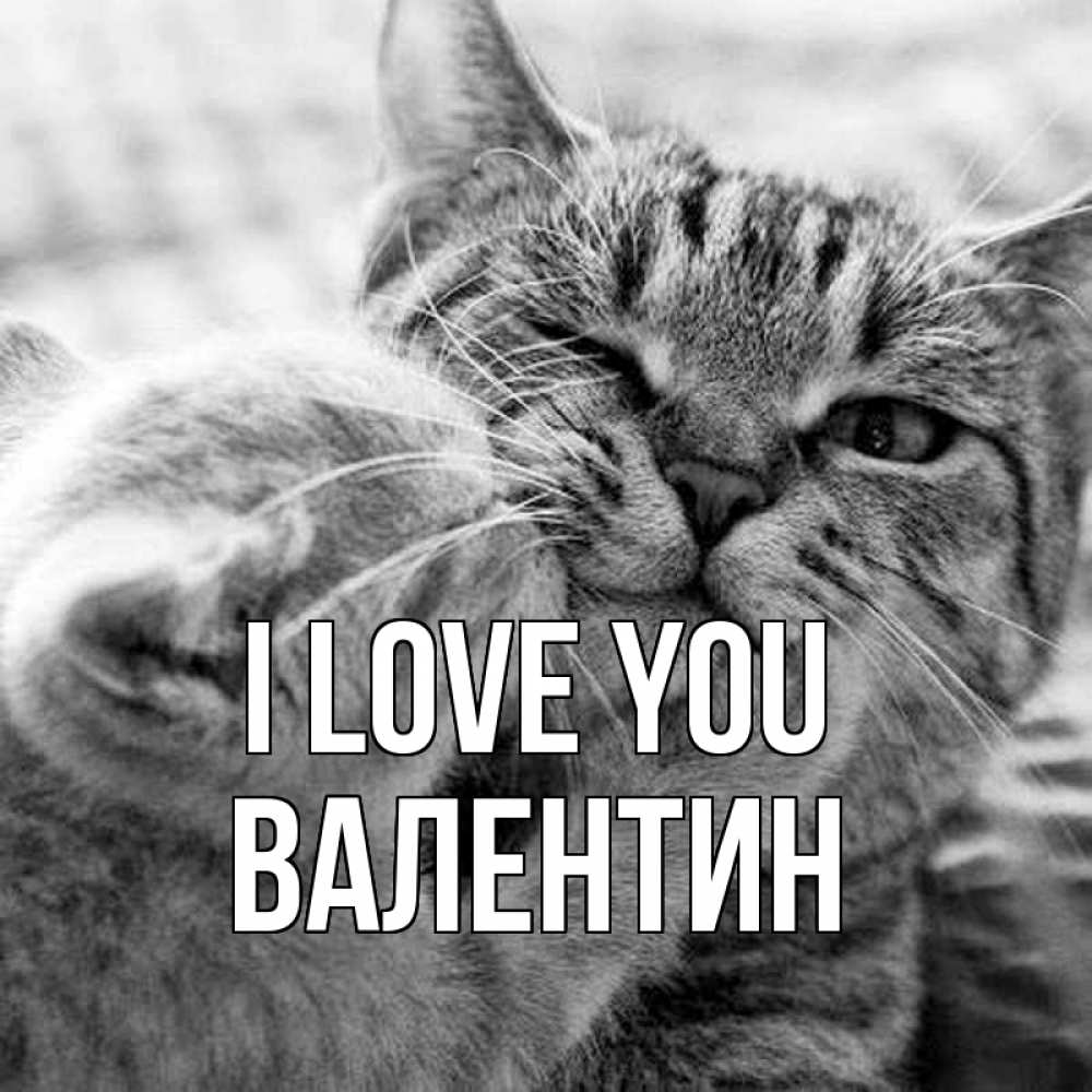 Greetings card с именем, Валентин I love you коты Greetings with text for free download 