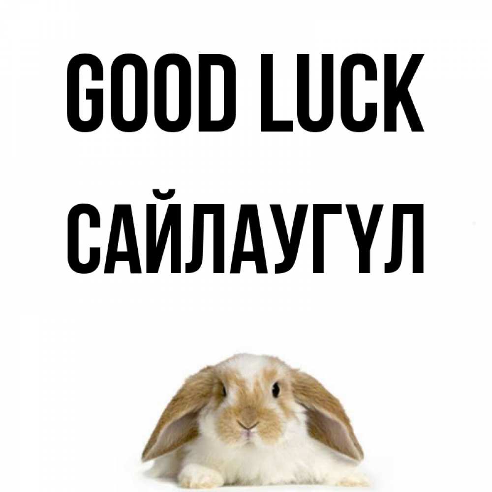 Greetings card с именем, САЙЛАУГҮЛ Good luck открытки с произвольным текстом который можно вставить в открытку и создать ее самостоятельно бесплатно онлайн Greetings with text for free download 