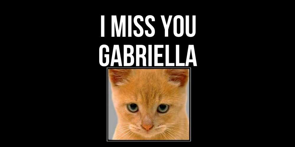 Greetings card с именем, Gabriella I miss you открытки рыжий котенок скучает по тебе Greetings with text for free download 