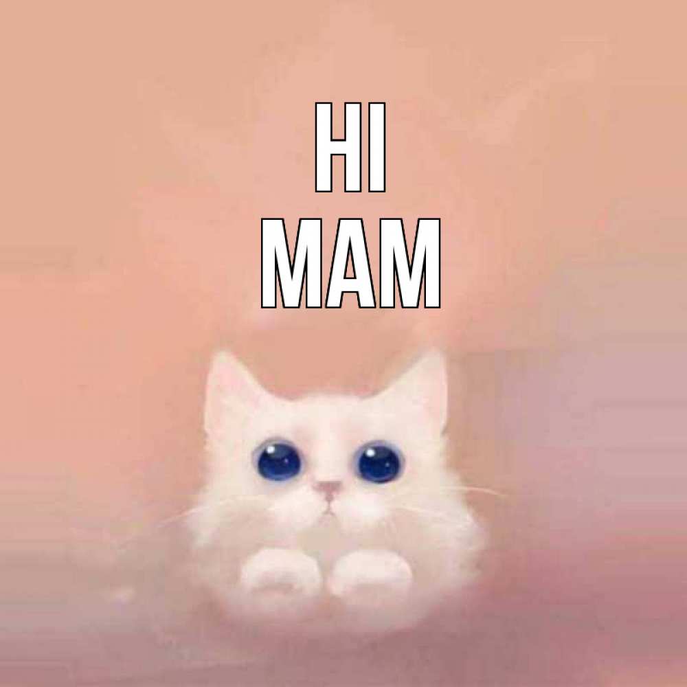 Greetings card с именем, mam Hi котик белый в полете Greetings with text for free download 