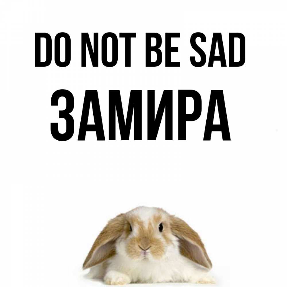 Greetings card с именем, ЗАМИРА Do not be sad коричнево белый заяц с большими ушками Greetings with text for free download 