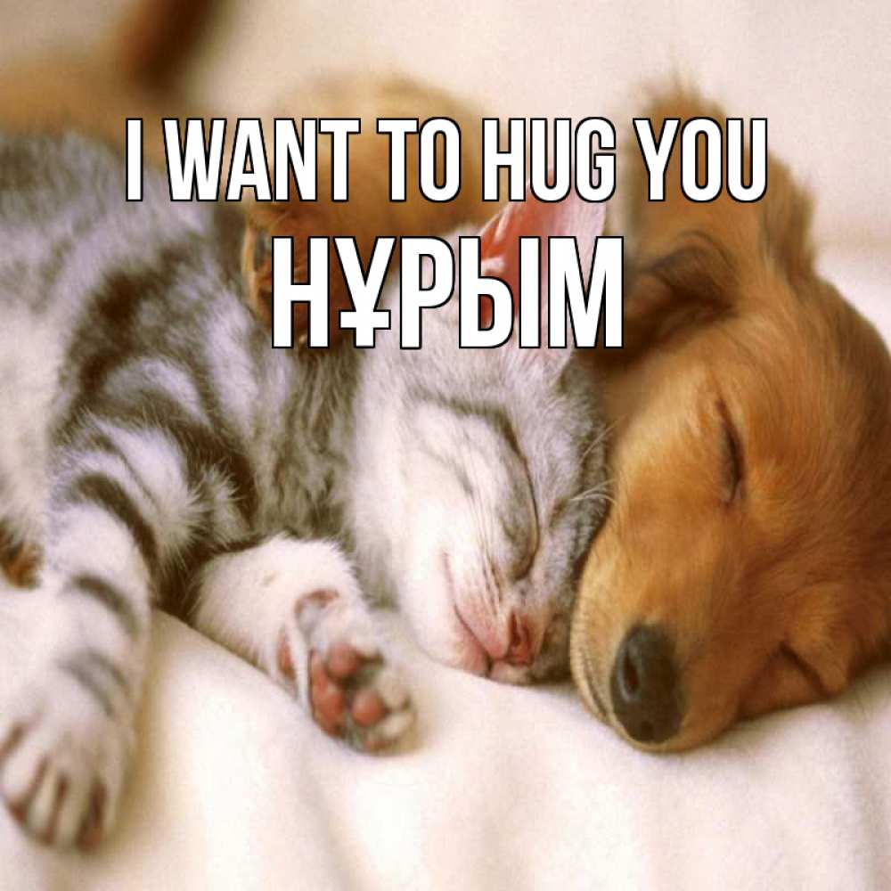 Greetings card с именем, Нұрым I want to hug you пес и котенок Greetings with text for free download 