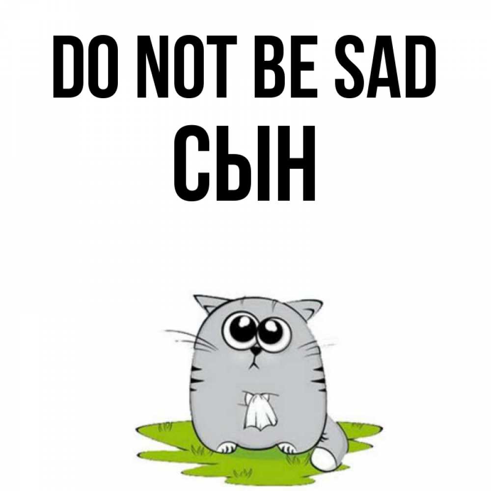 Greetings card с именем, Сын Do not be sad грустный котяра Greetings with text for free download 