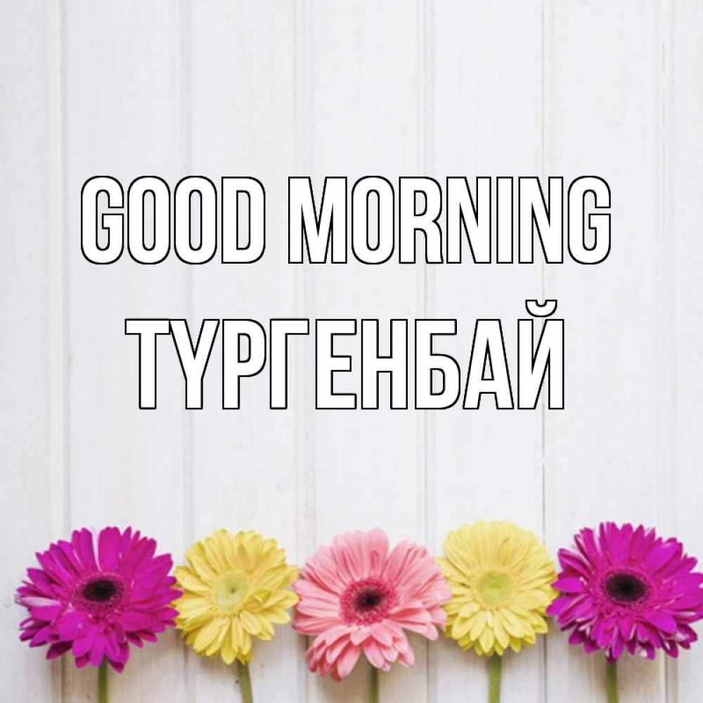 Greetings card с именем, ТҮРГЕНБАЙ Good morning красный желтый и розовый цветок Greetings with text for free download 