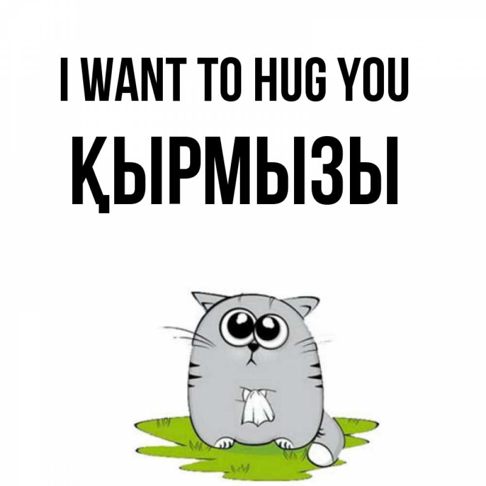 Greetings card с именем, ҚЫРМЫЗЫ I want to hug you котик теребит платочек сидя на травке Greetings with text for free download 