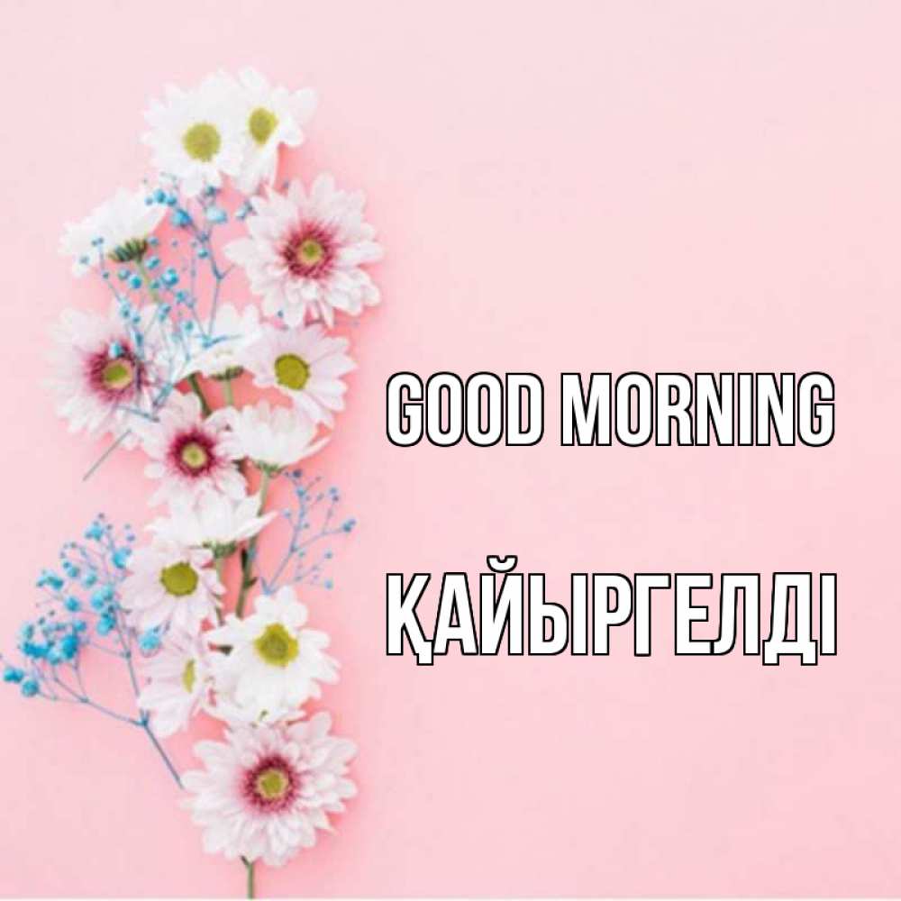Greetings card с именем, Қайыргелді Good morning цветы с подписью Greetings with text for free download 