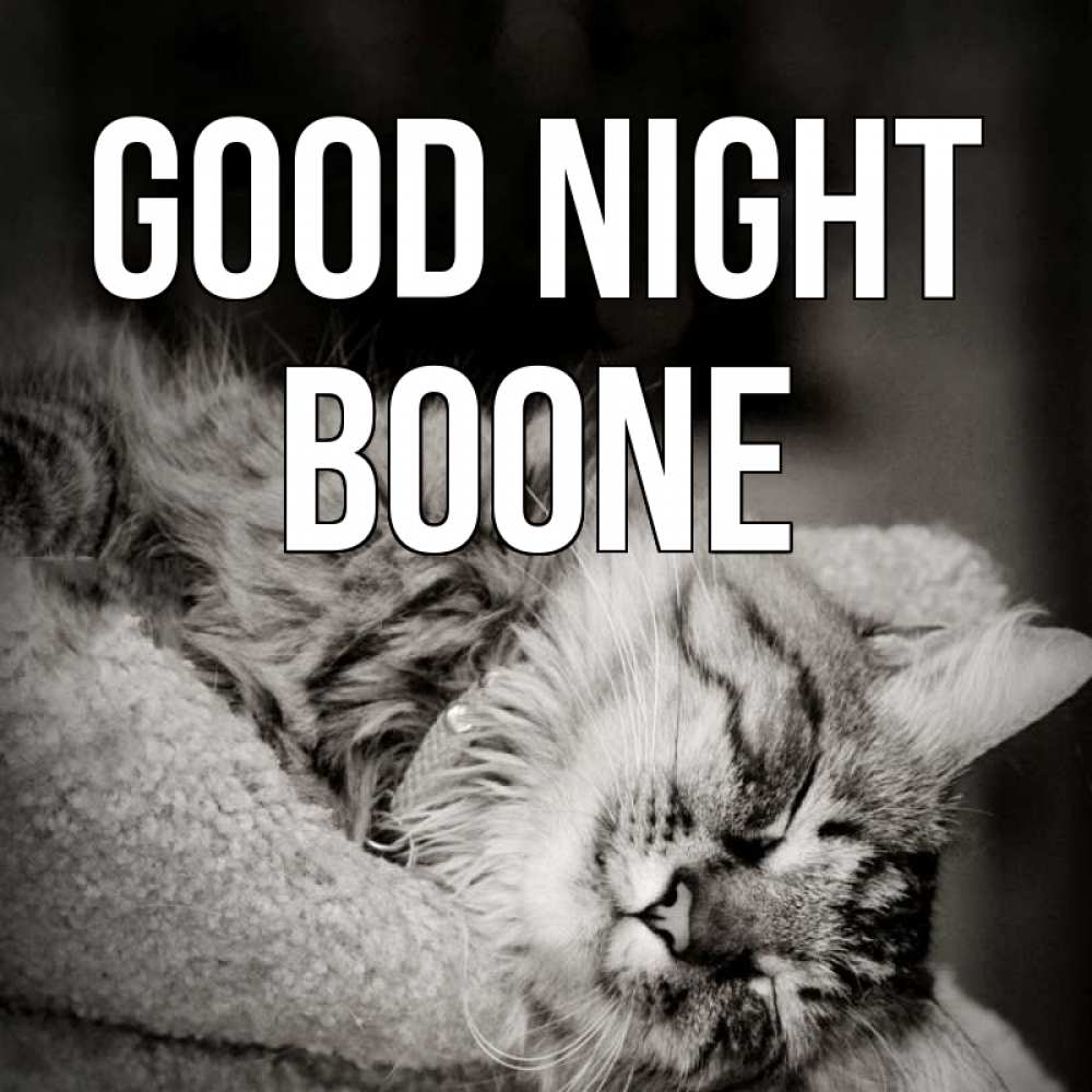 Greetings card с именем, Boone Good night котярик пушистый Greetings with text for free download 