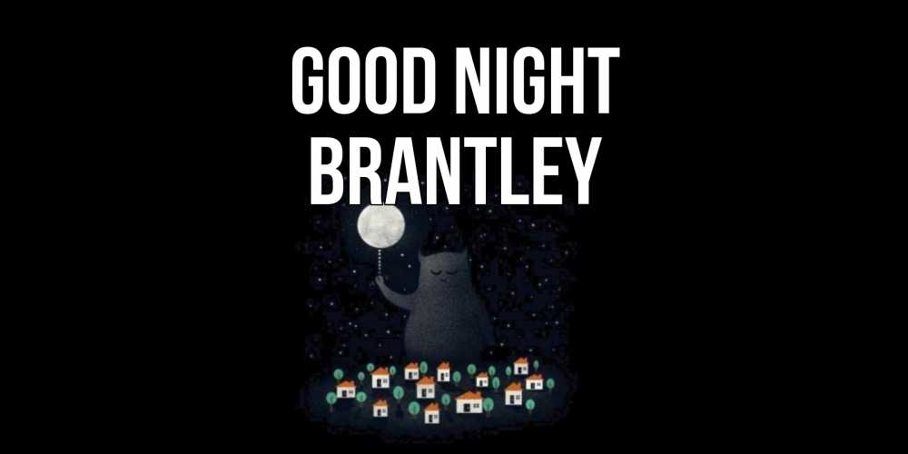 Greetings card с именем, Brantley Good night кот,луна, ночь, звезды Greetings with text for free download 