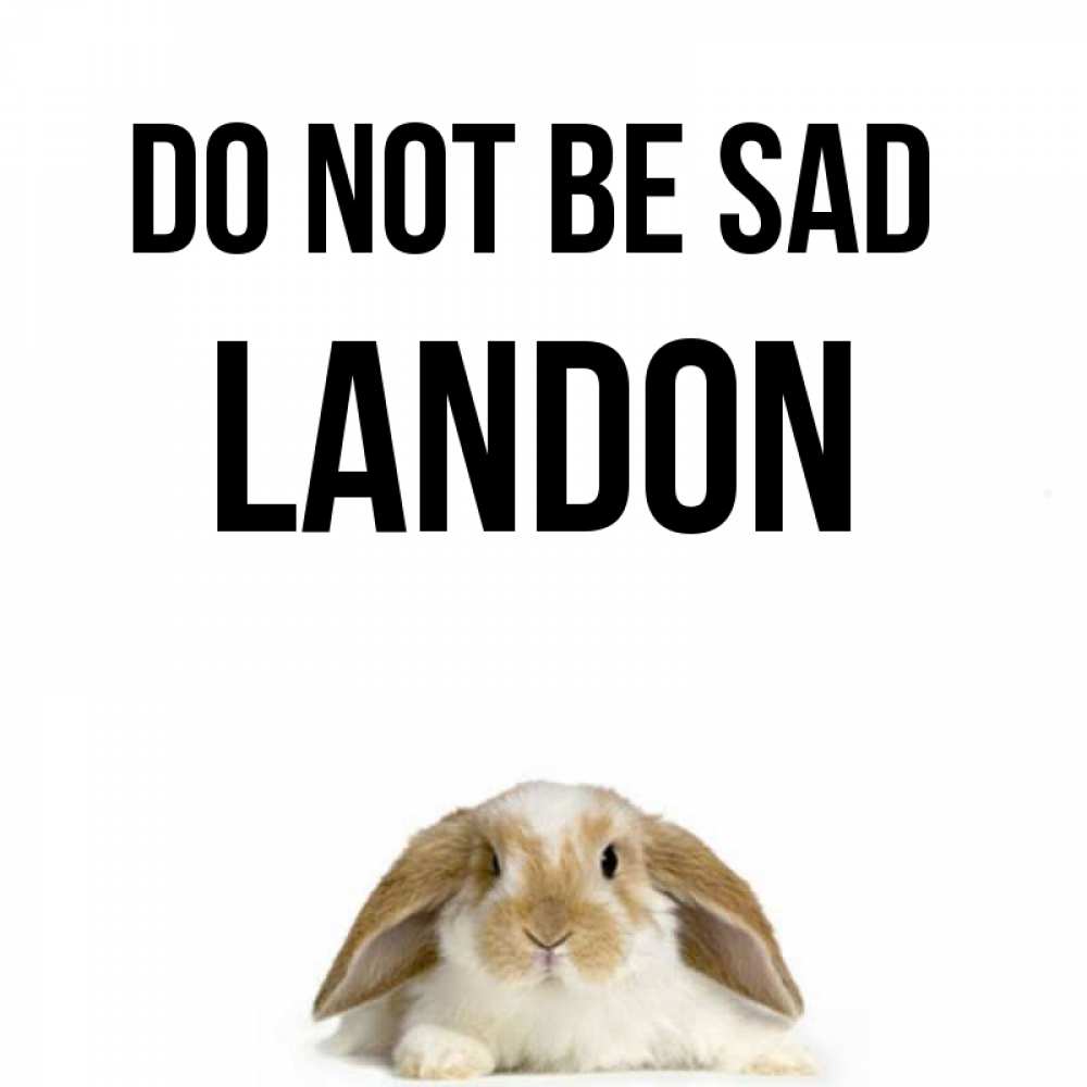 Greetings card с именем, Landon Do not be sad коричнево белый заяц с большими ушками Greetings with text for free download 