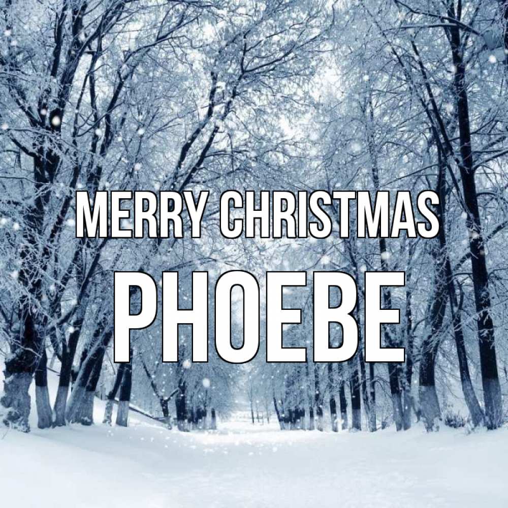 Greetings card с именем, Phoebe Merry Christmas снег, лес, парк Greetings with text for free download 