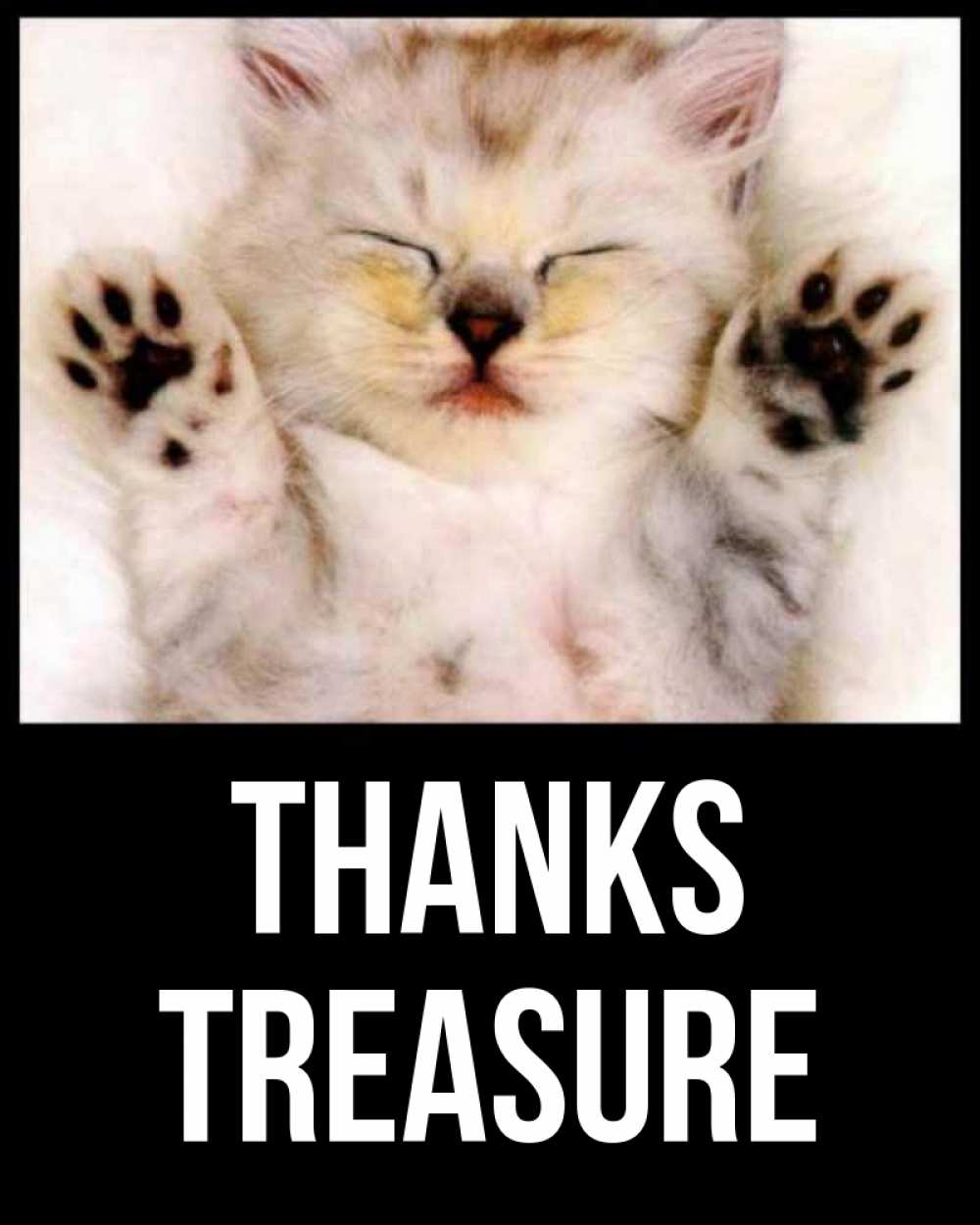 Greetings card с именем, Treasure Thanks маленький котенок Greetings with text for free download 