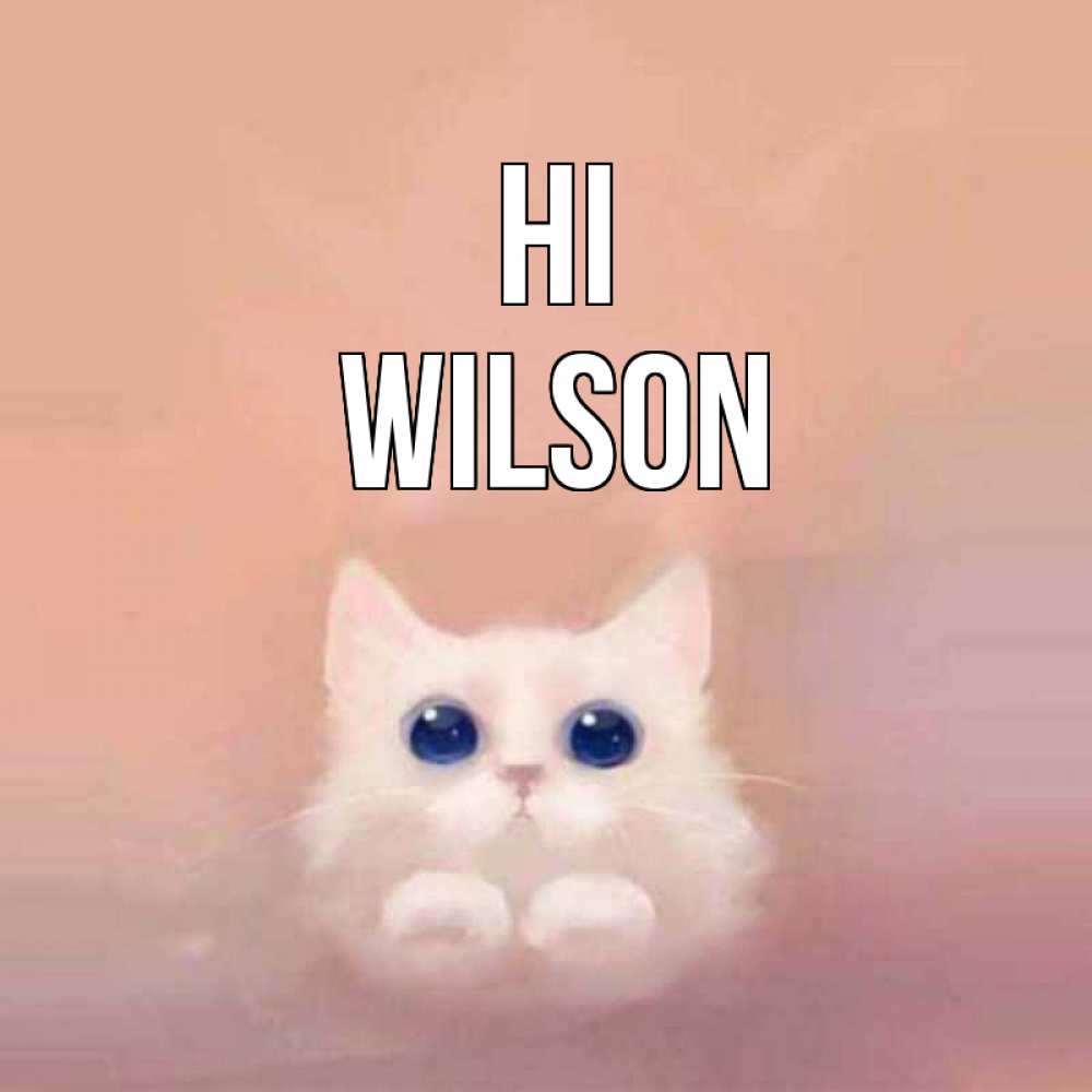 Greetings card с именем, Wilson Hi котик белый в полете Greetings with text for free download 