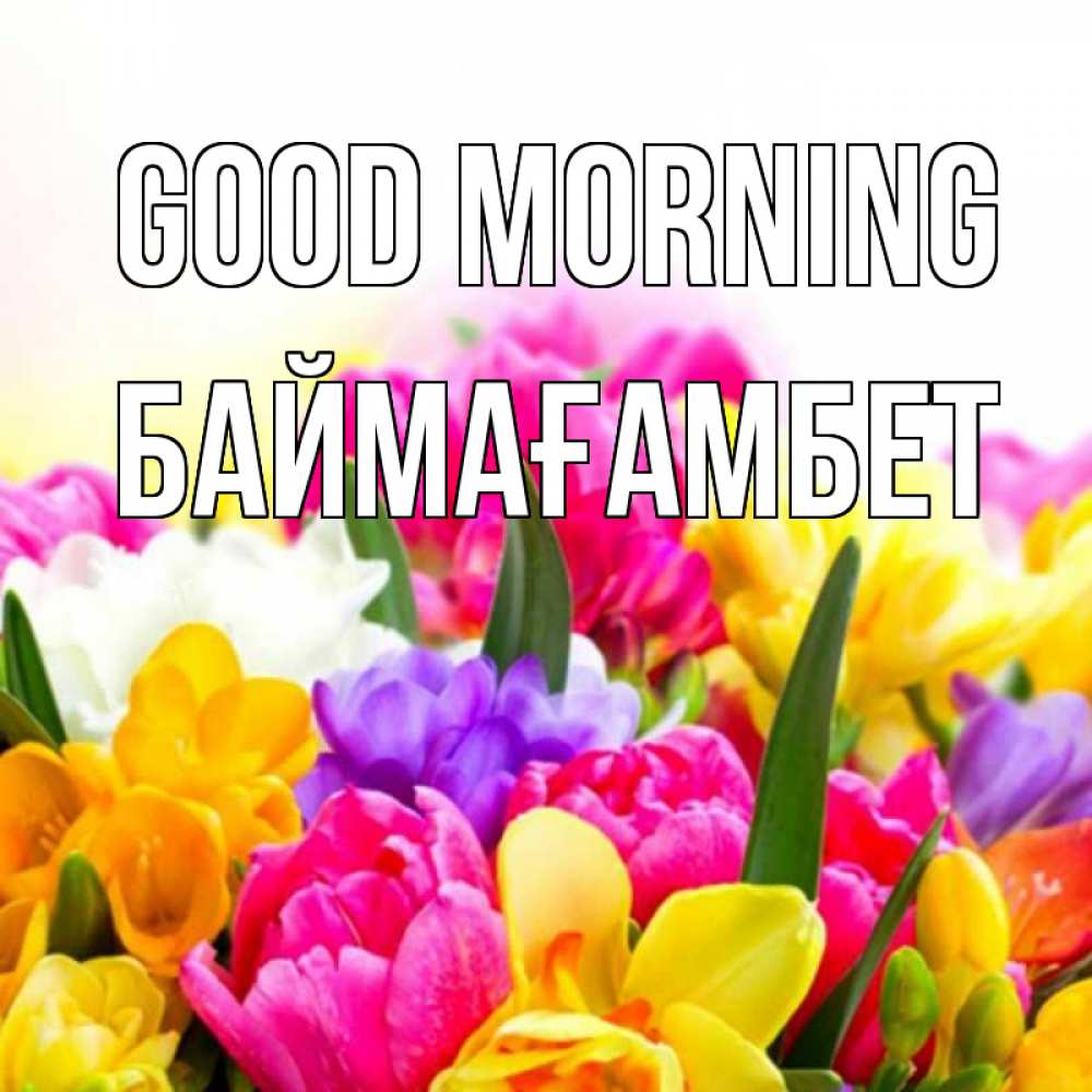 Greetings card с именем, Баймағамбет Good morning создать открытку со свое подписью Greetings with text for free download 