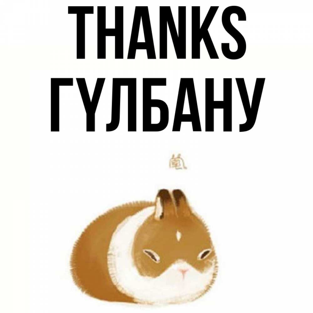 Greetings card с именем, ГҮЛБАНУ Thanks коричнево белый домашний питомец Greetings with text for free download 