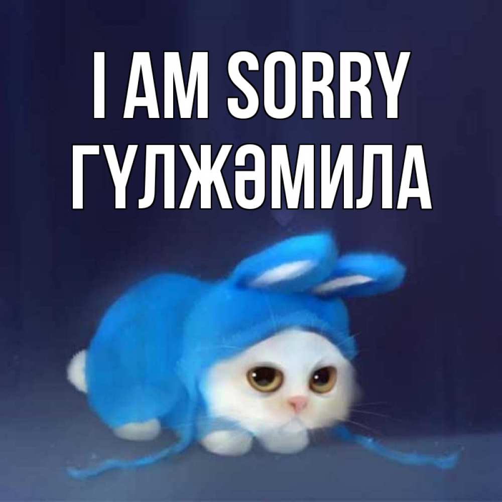 Greetings card с именем, ГҮЛЖӘМИЛА I am sorry невинный котозай просит прощения Greetings with text for free download 