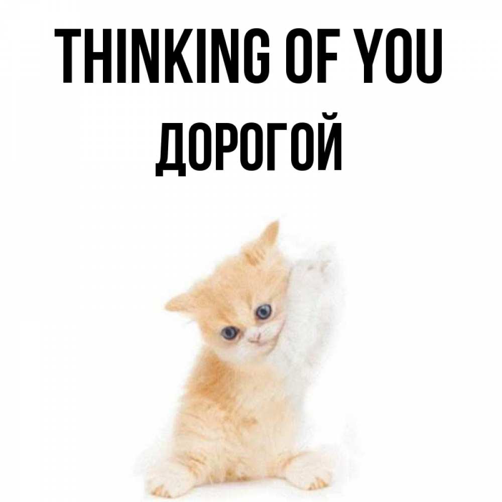 Greetings card с именем, Дорогой Thinking of you зверушки и милота Greetings with text for free download 