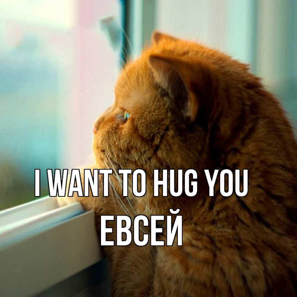 Greetings card с именем, Евсей I want to hug you большой огромный рыжий котяра Greetings with text for free download 