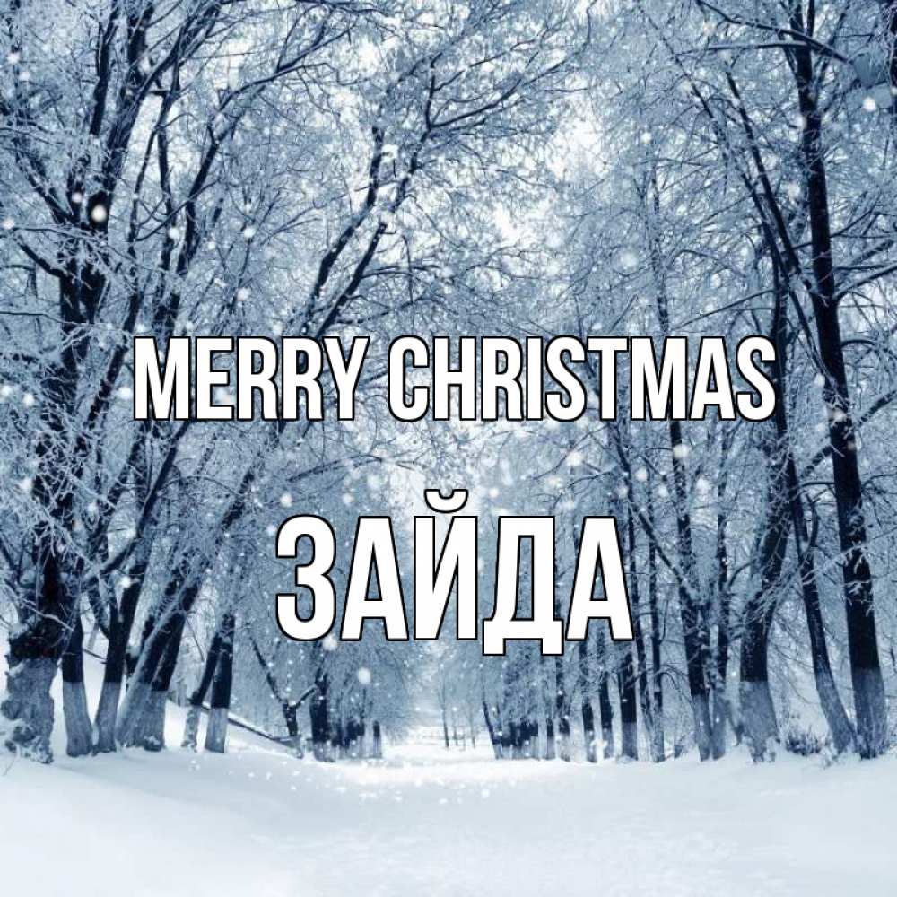 Greetings card с именем, ЗАЙДА Merry Christmas снег, лес, парк Greetings with text for free download 