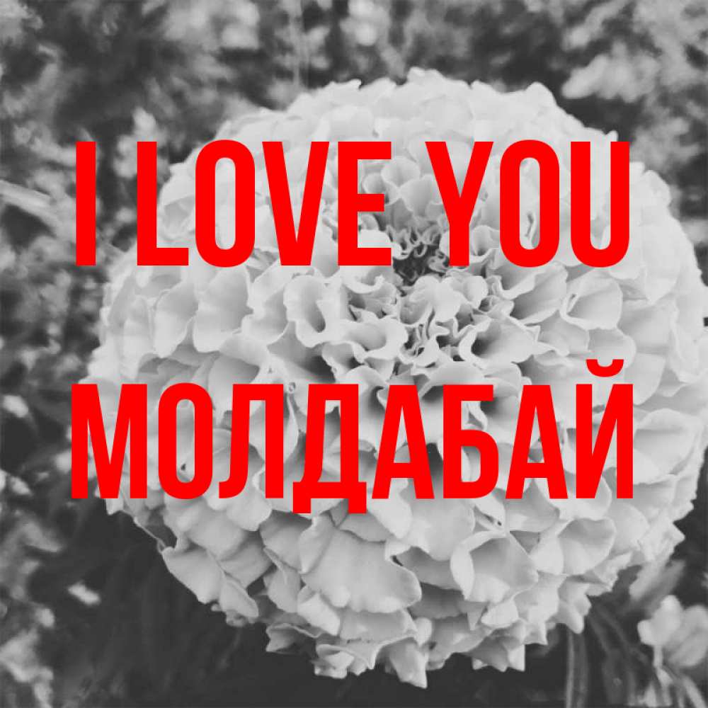 Greetings card с именем, МОЛДАБАЙ I love you подпись Greetings with text for free download 