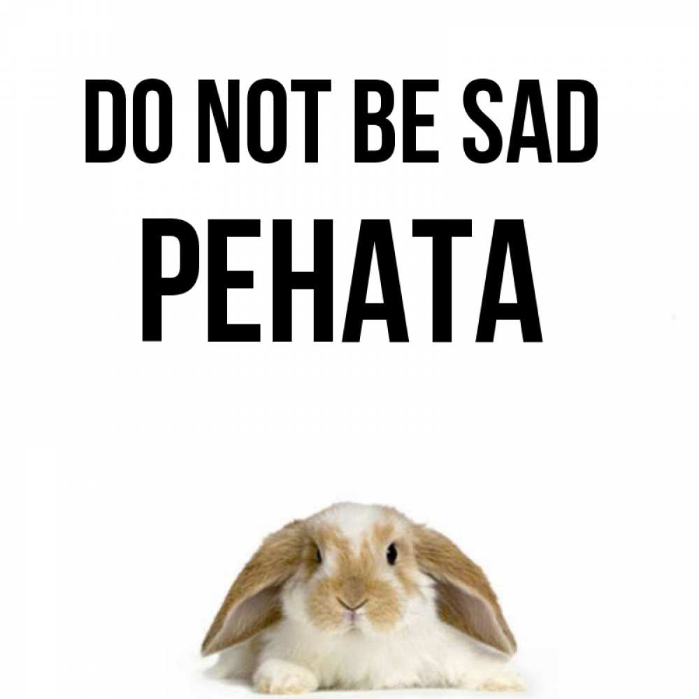 Greetings card с именем, Рената Do not be sad коричнево белый заяц с большими ушками Greetings with text for free download 